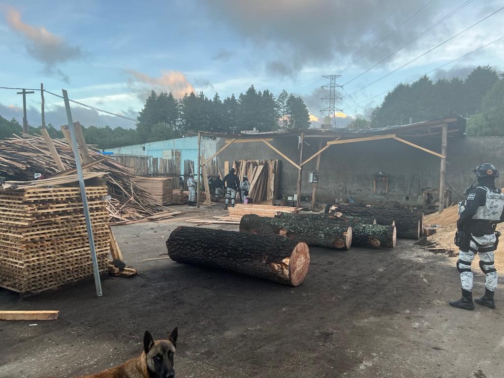 Un perro sentado en el zoológico Descripción generada automáticamente con confianza baja