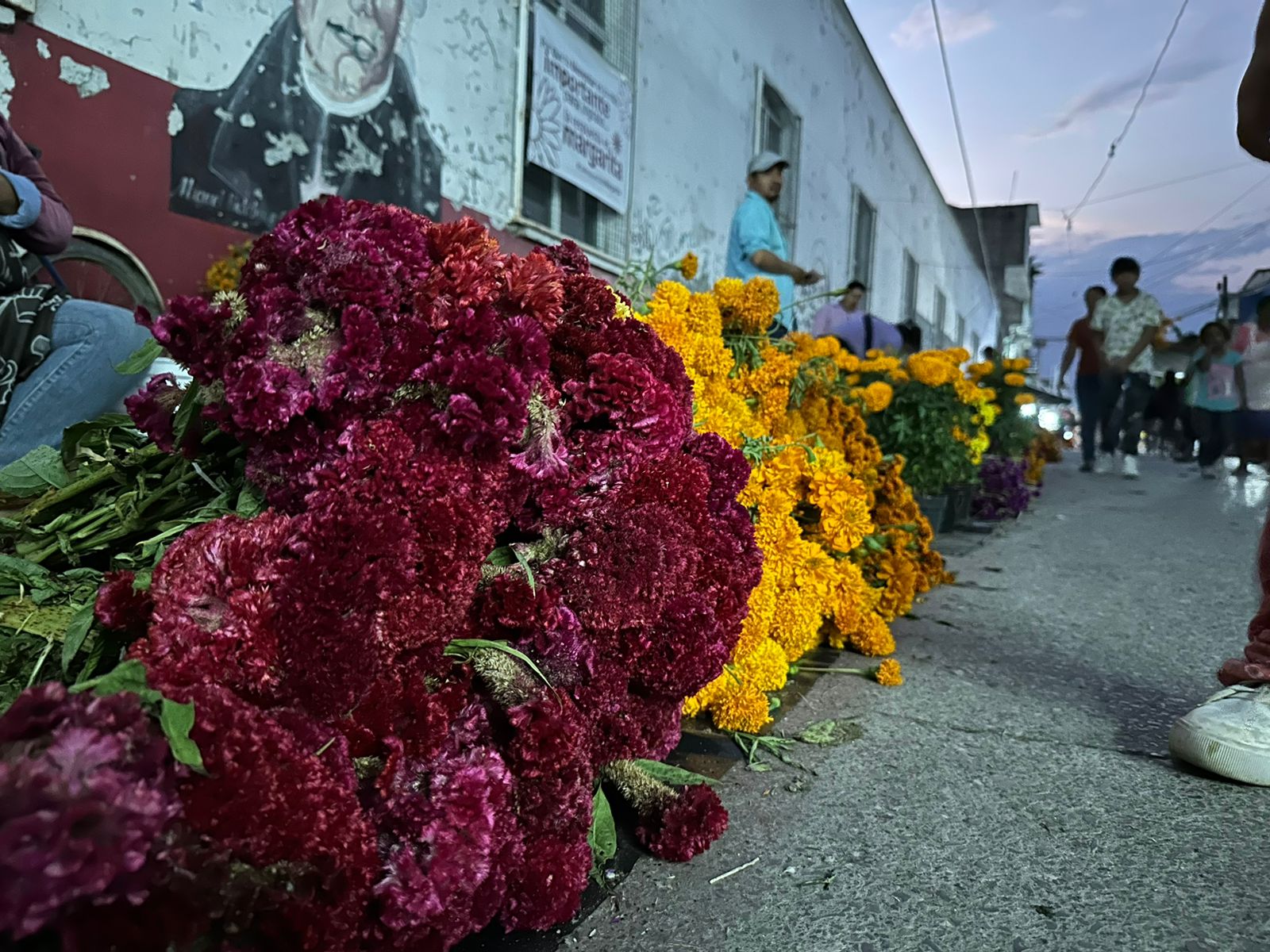 Un jardín con flores de colores Descripción generada automáticamente con confianza baja