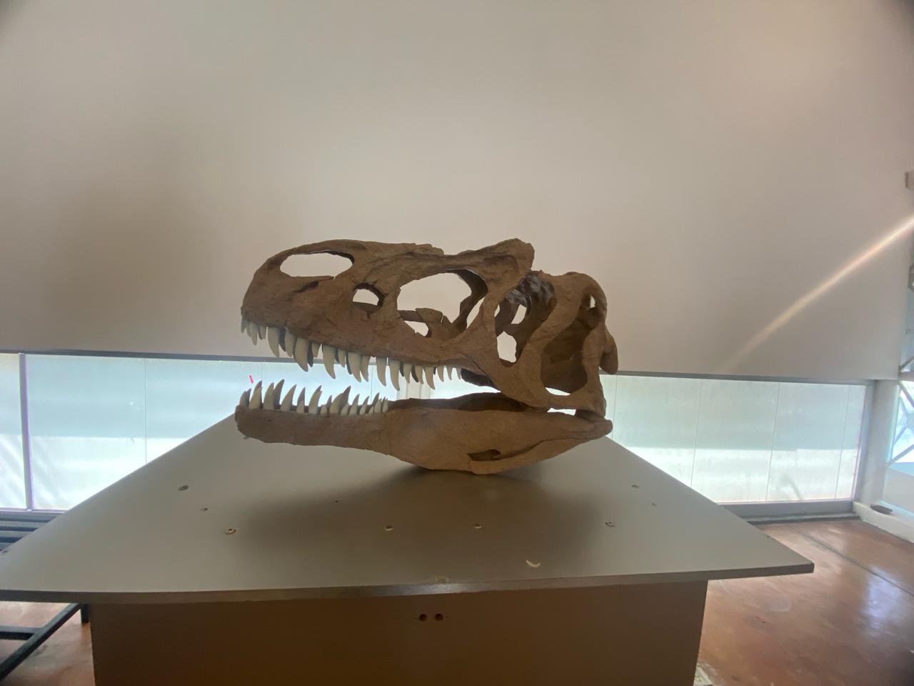 Una mesa de madera Descripción generada automáticamente con confianza baja