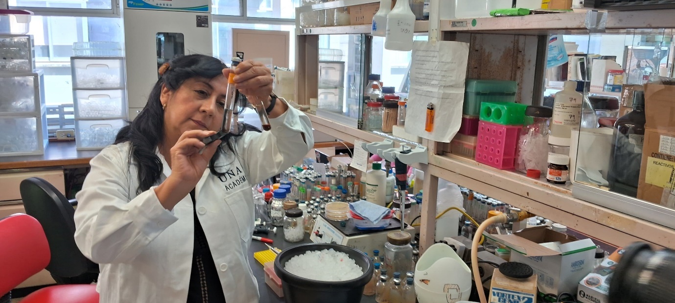 Una persona preparando comida en una tienda Descripción generada automáticamente