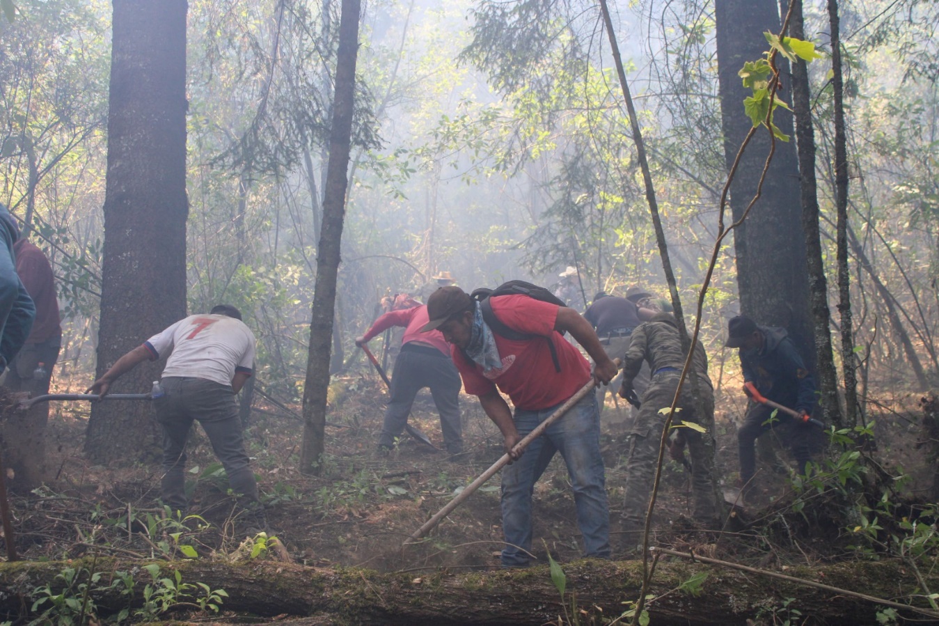 Un grupo de personas en un bosque Descripción generada automáticamente con confianza media