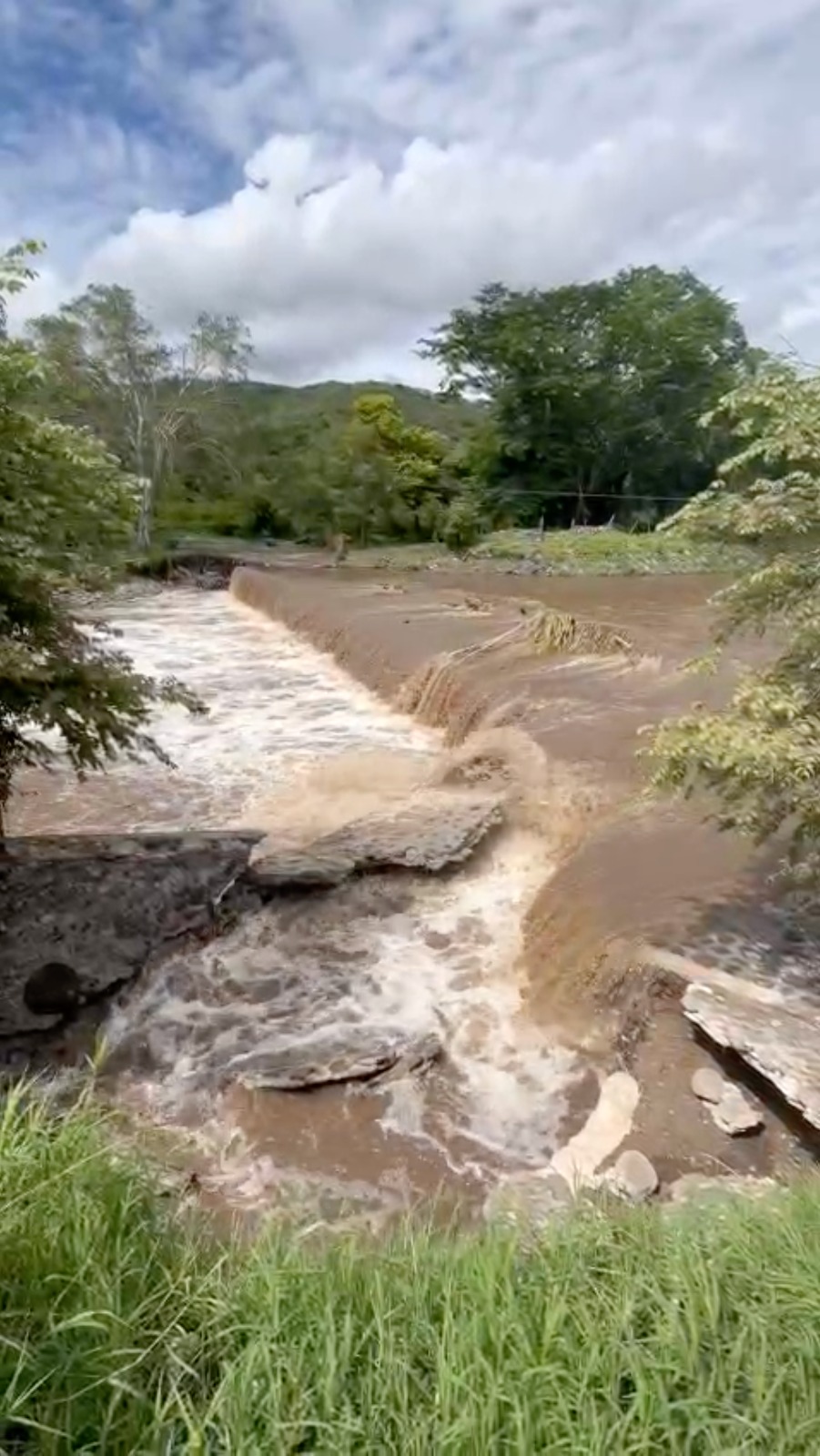 Un río rodeado de árboles Descripción generada automáticamente