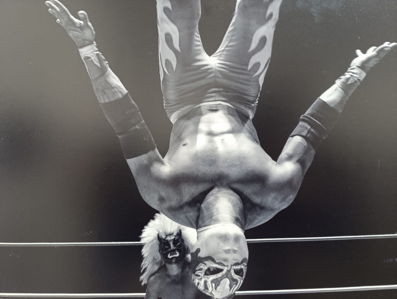 Imagen que contiene deporte, raqueta, sostener, parado Descripción generada automáticamente