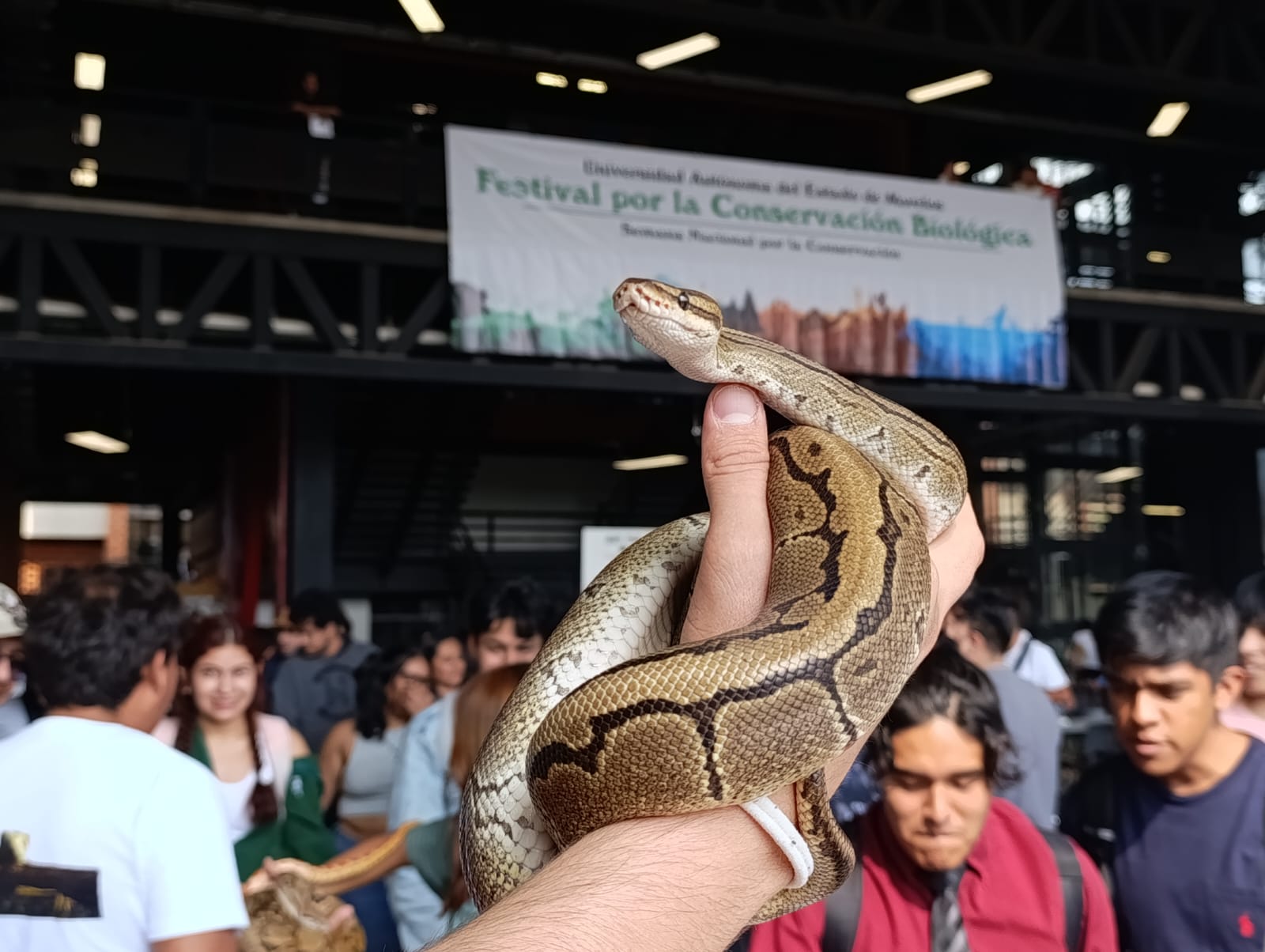 Imagen que contiene persona, animal, hombre, edificio Descripción generada automáticamente