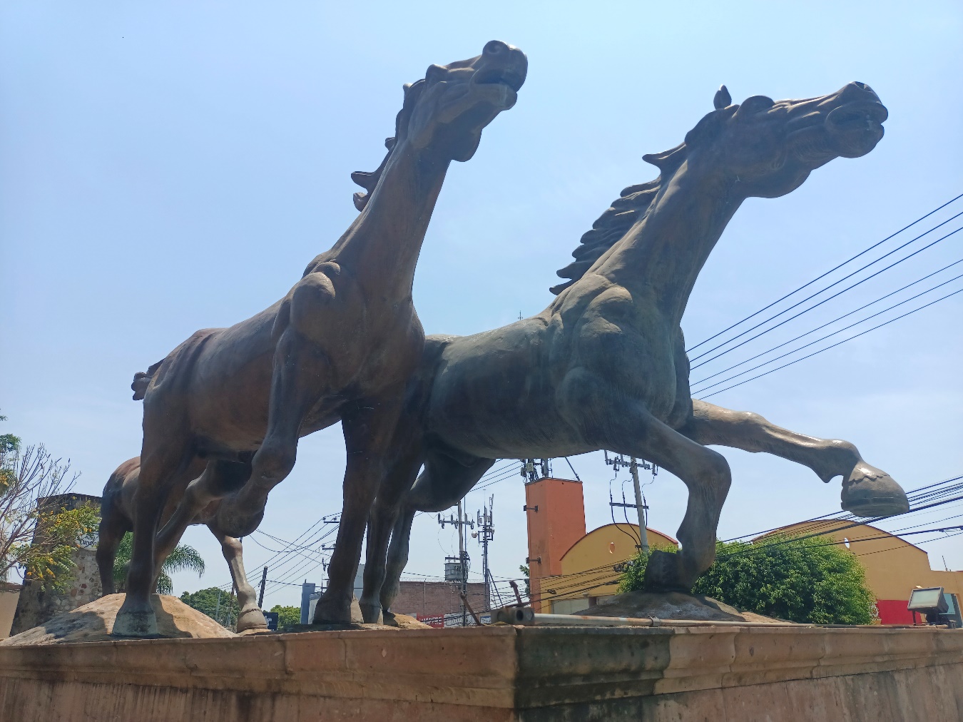 Imagen que contiene exterior, parado, caballo, café Descripción generada automáticamente