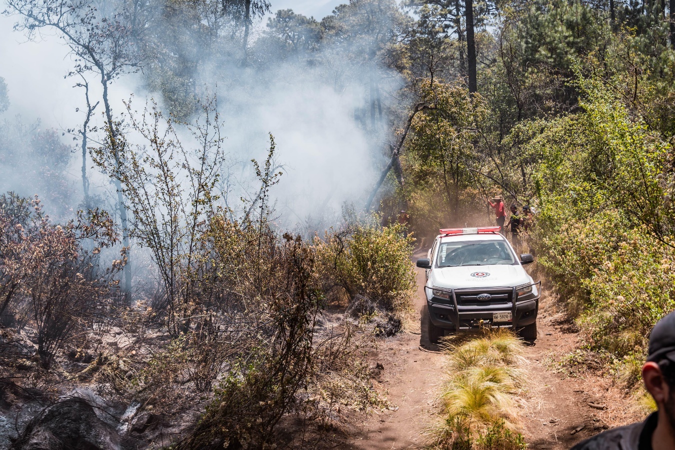 Un hombre en un bosque El contenido generado por IA puede ser incorrecto.
