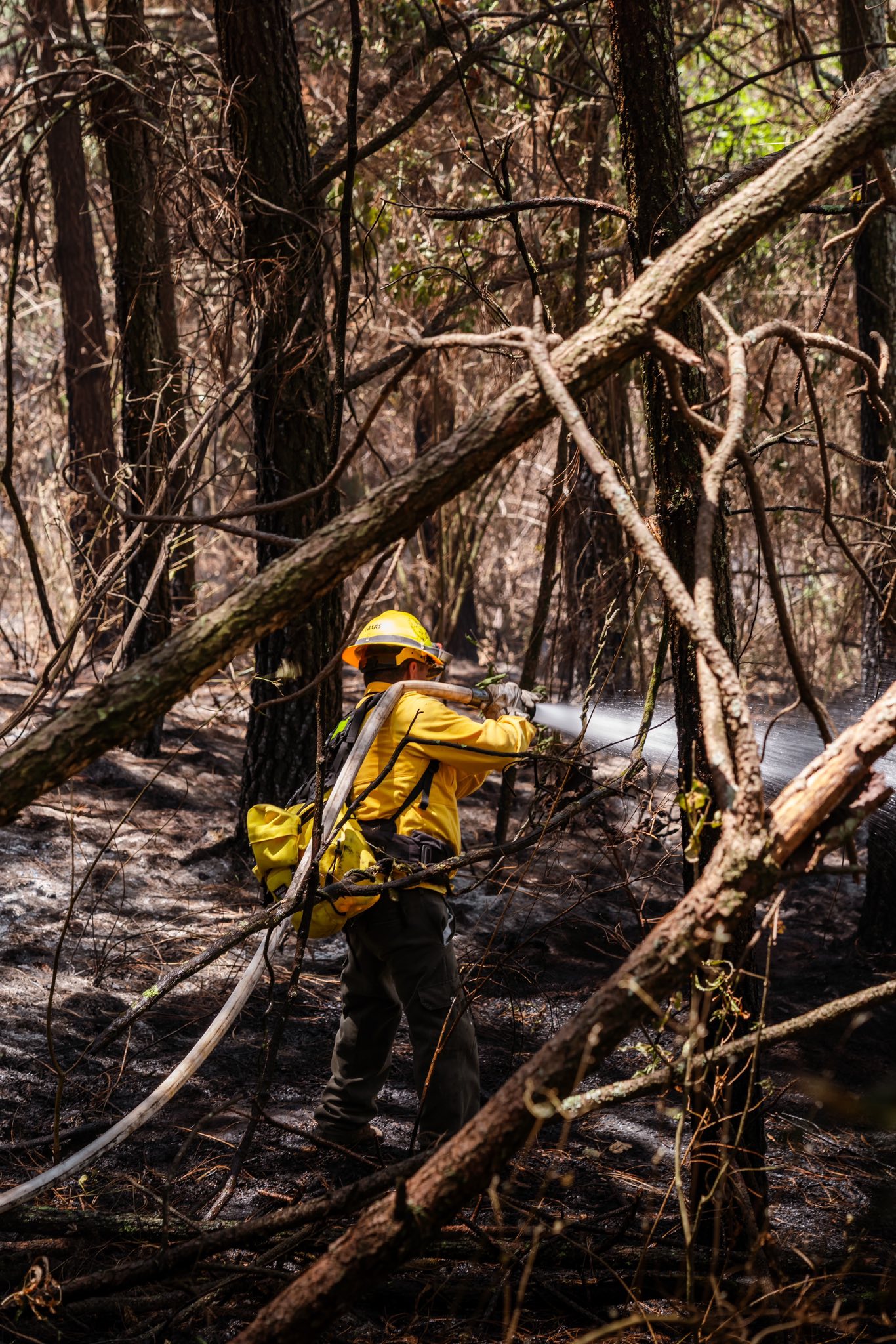 Puede ser una imagen de una persona y texto