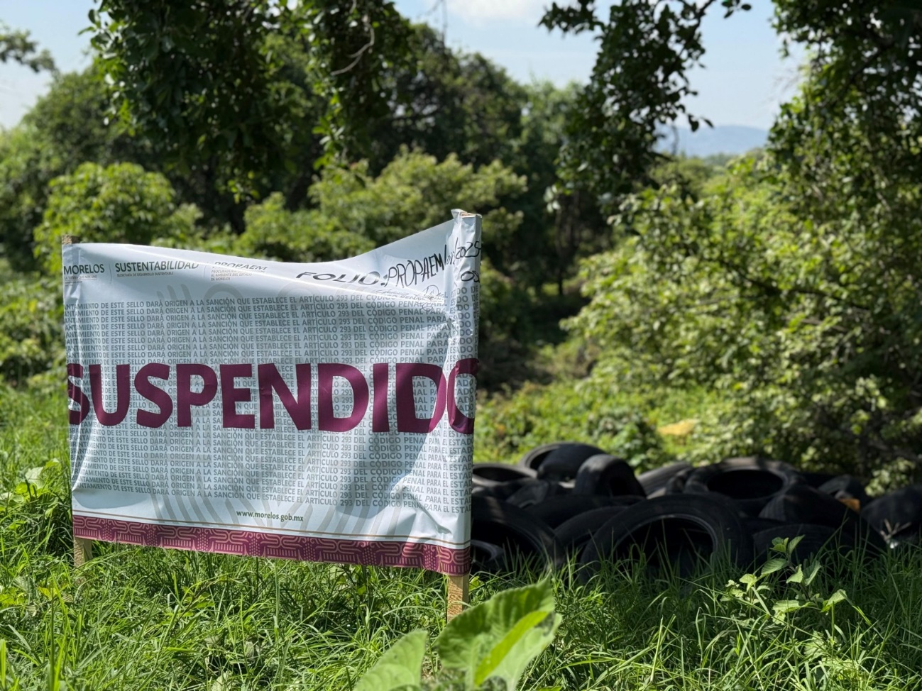 Bandera de color azul con letras blancas en un campo El contenido generado por IA puede ser incorrecto.