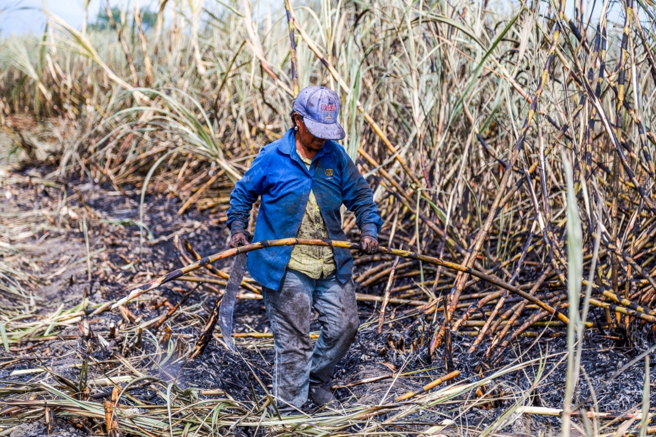 Hombre sentado en un campo de pasto seco El contenido generado por IA puede ser incorrecto.