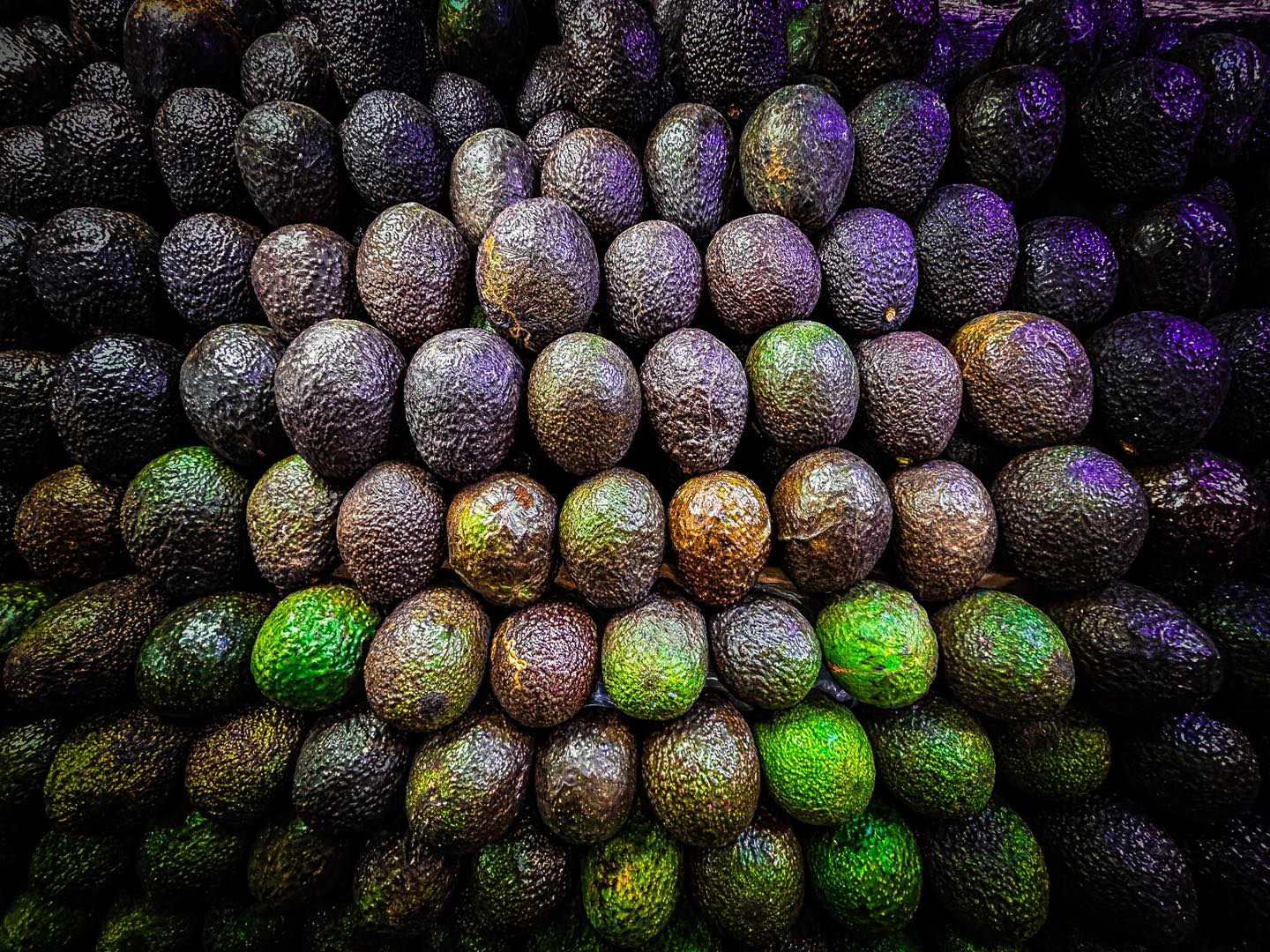 Imagen que contiene exterior, verde, edificio, morado El contenido generado por IA puede ser incorrecto.