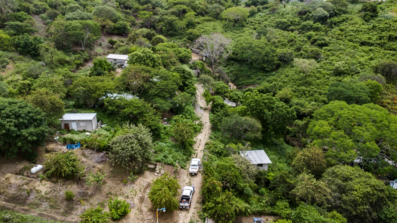Puede ser una imagen de roble Angel Oak tree