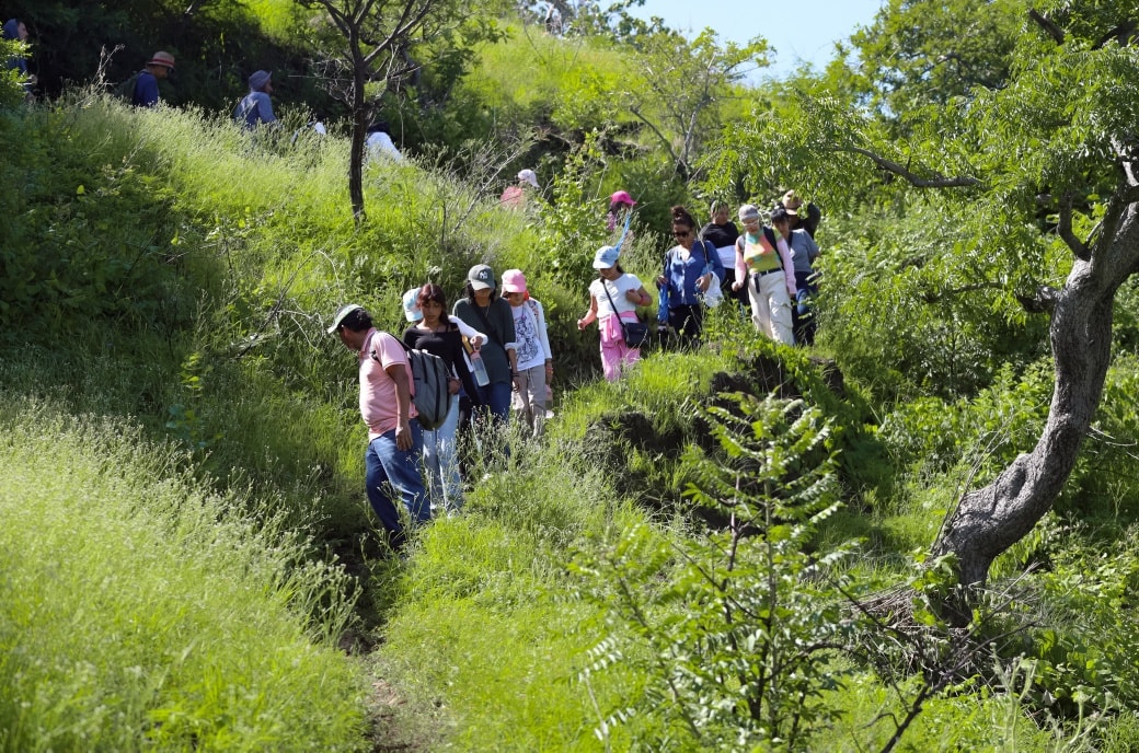 Un grupo de personas en un bosque El contenido generado por IA puede ser incorrecto.