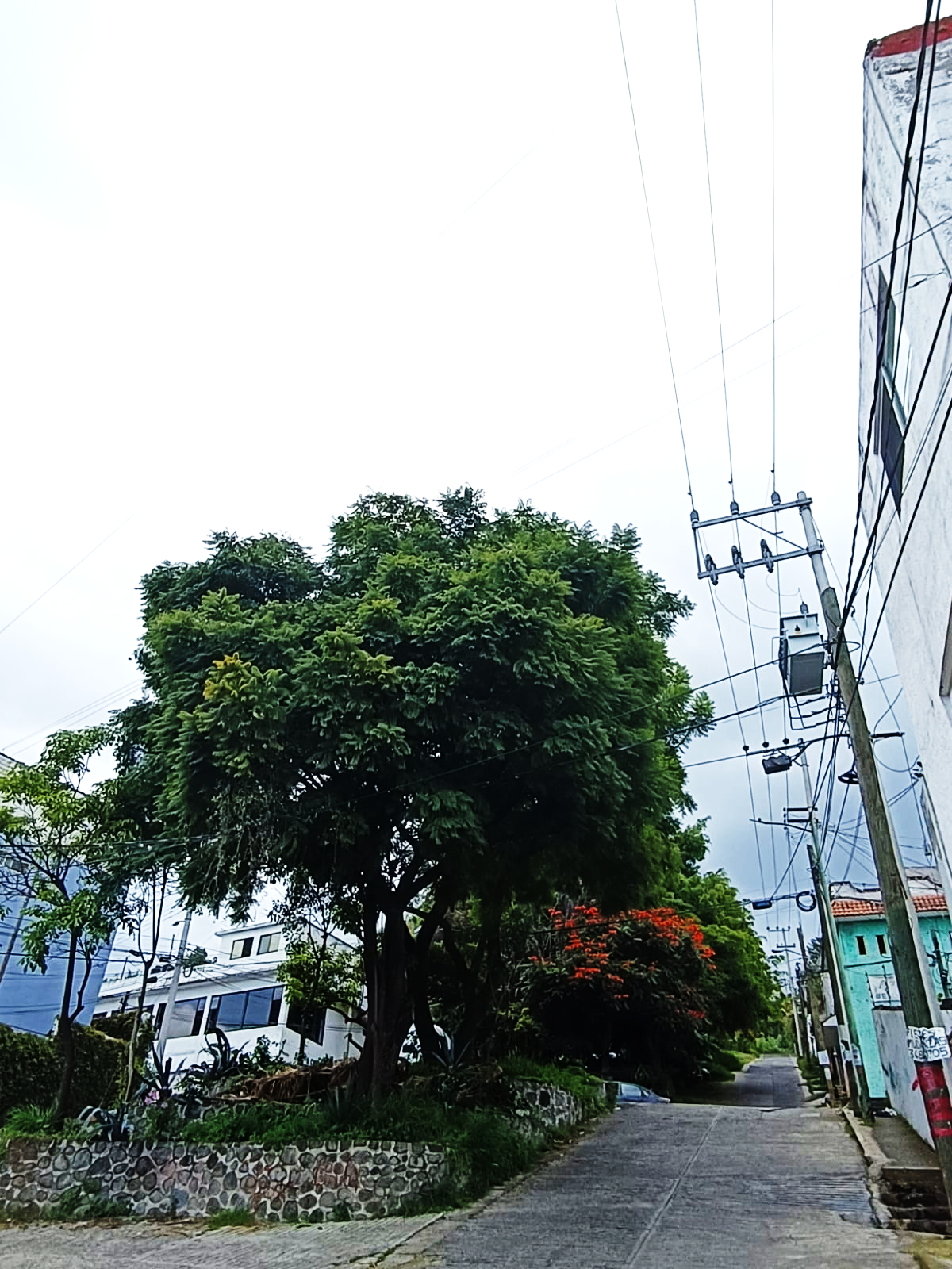 Vista de una calle El contenido generado por IA puede ser incorrecto.