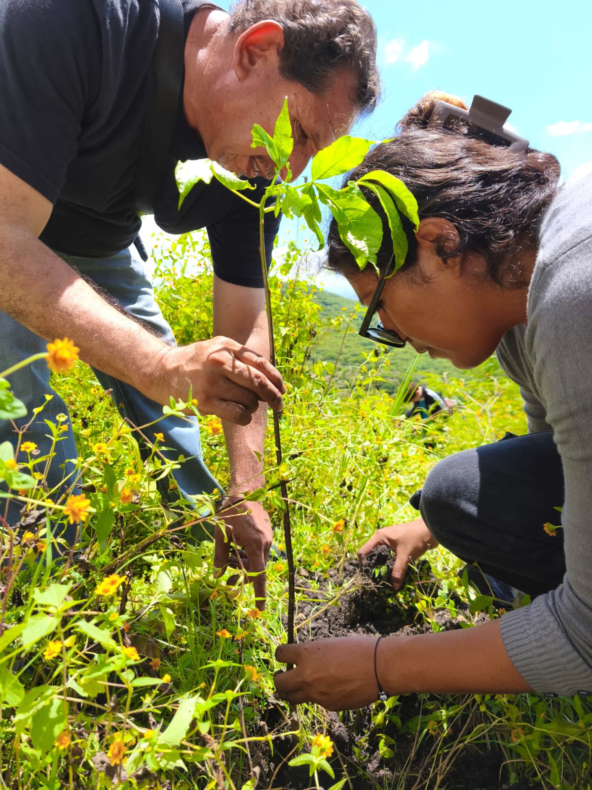 Imagen que contiene persona, exterior, hombre, pasto El contenido generado por IA puede ser incorrecto.