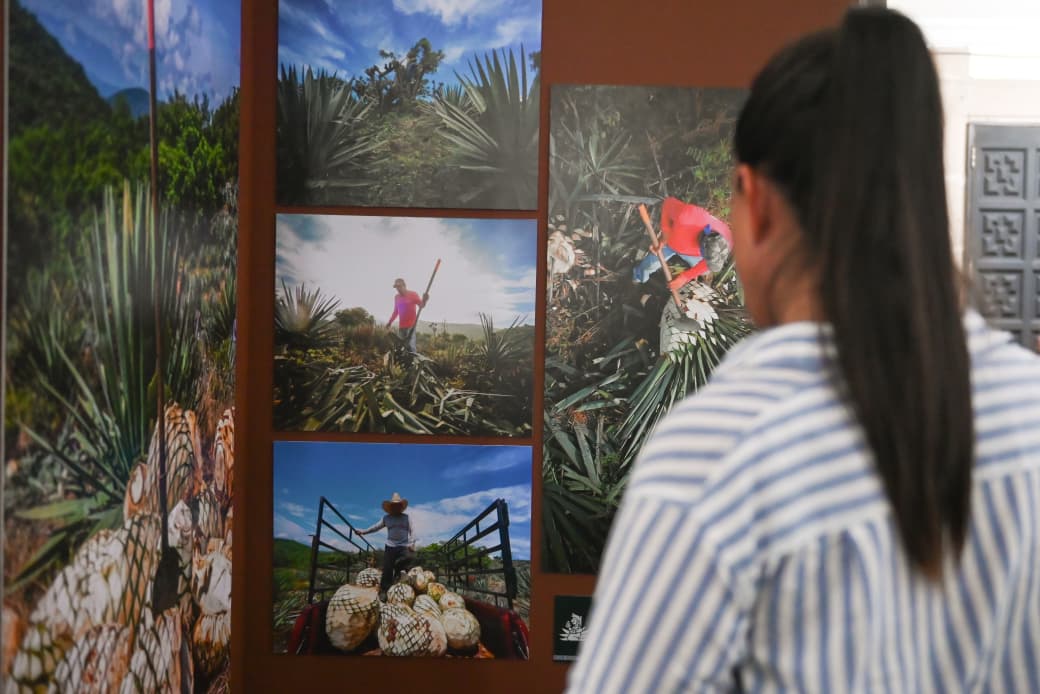 Imagen que contiene persona, exterior, a rayas, hombre El contenido generado por IA puede ser incorrecto.