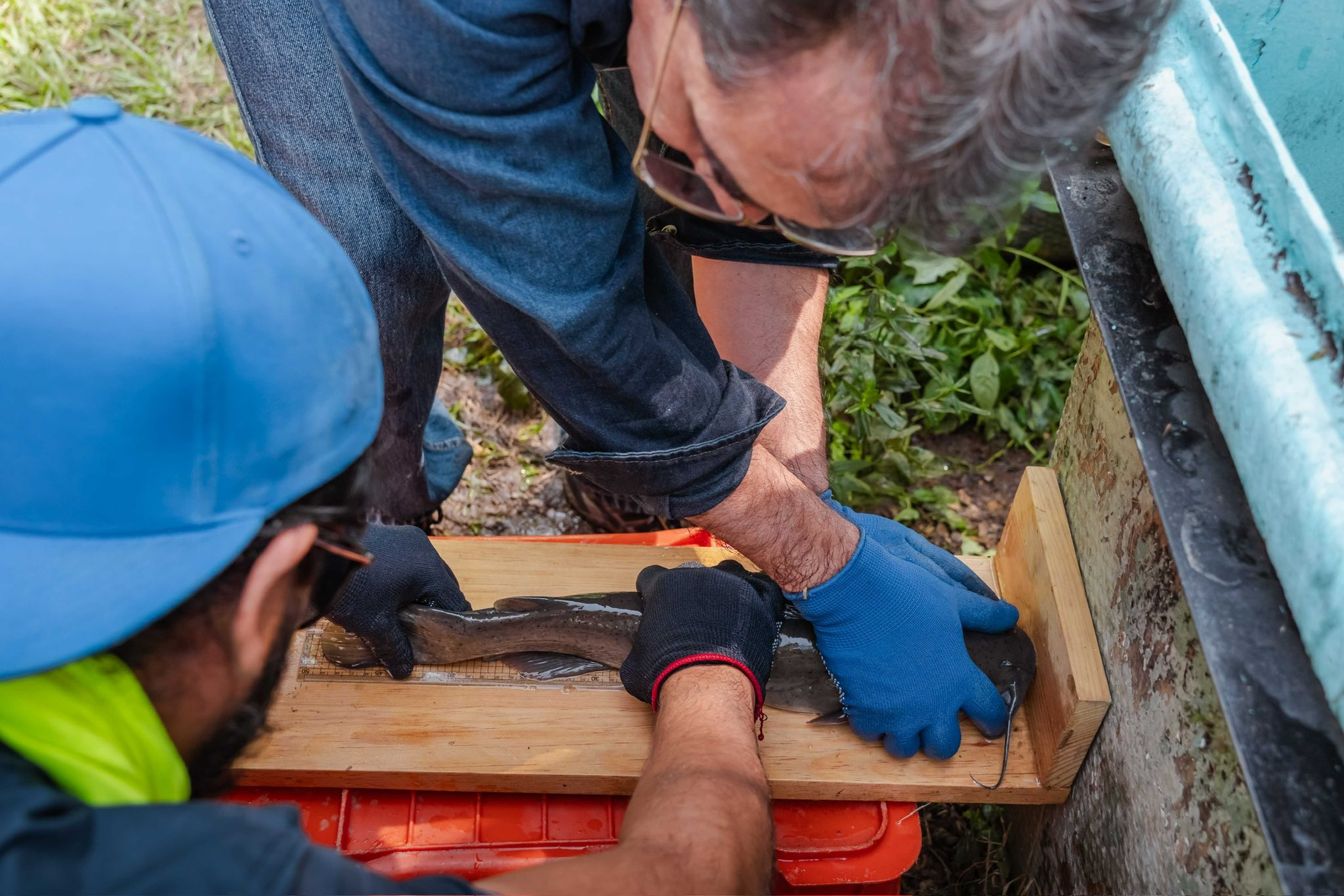 No hay ninguna descripción de la foto disponible.