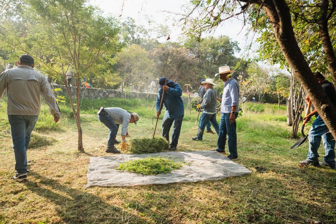 Un grupo de personas caminando en un parque El contenido generado por IA puede ser incorrecto.