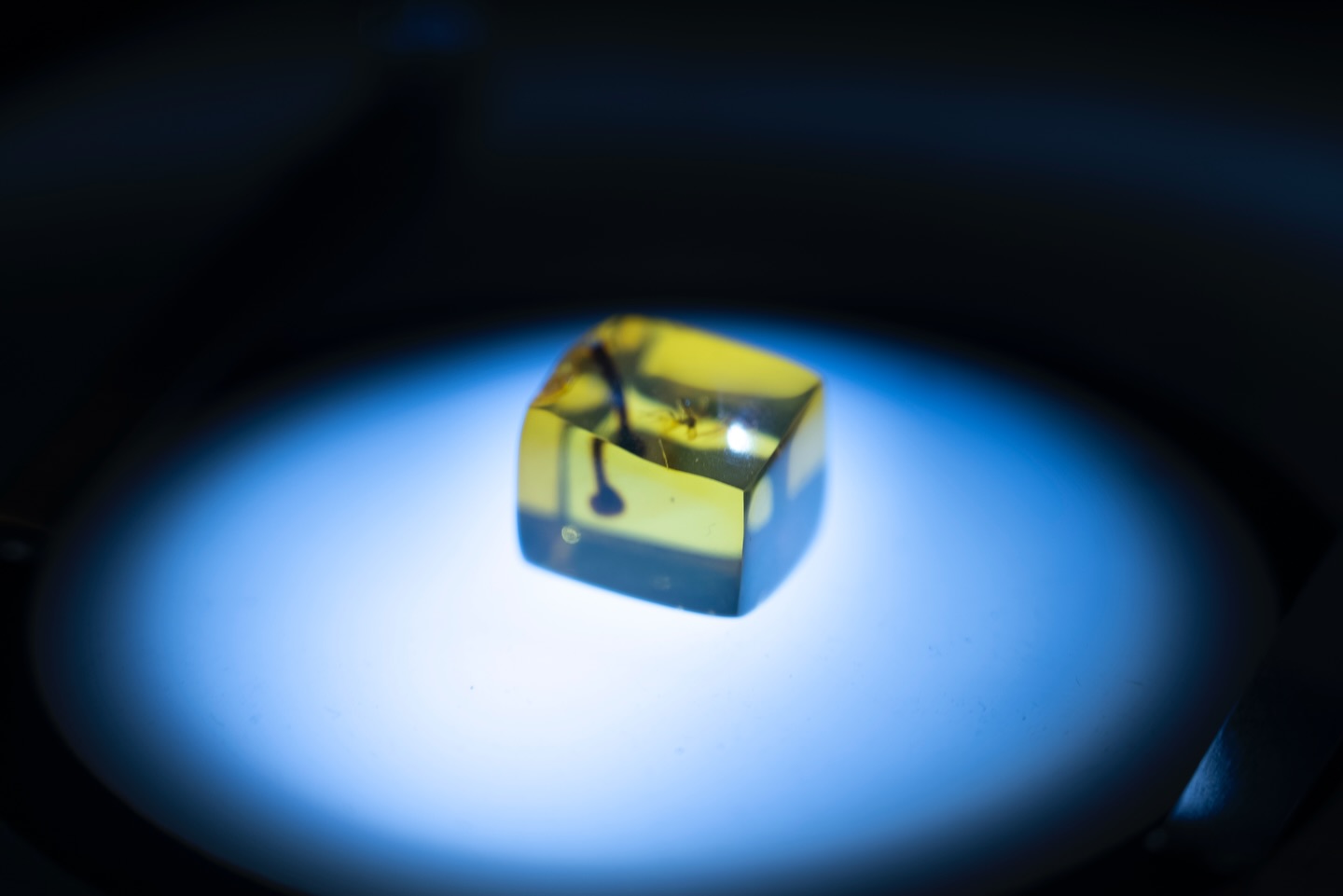 Control de videojuego El contenido generado por IA puede ser incorrecto.