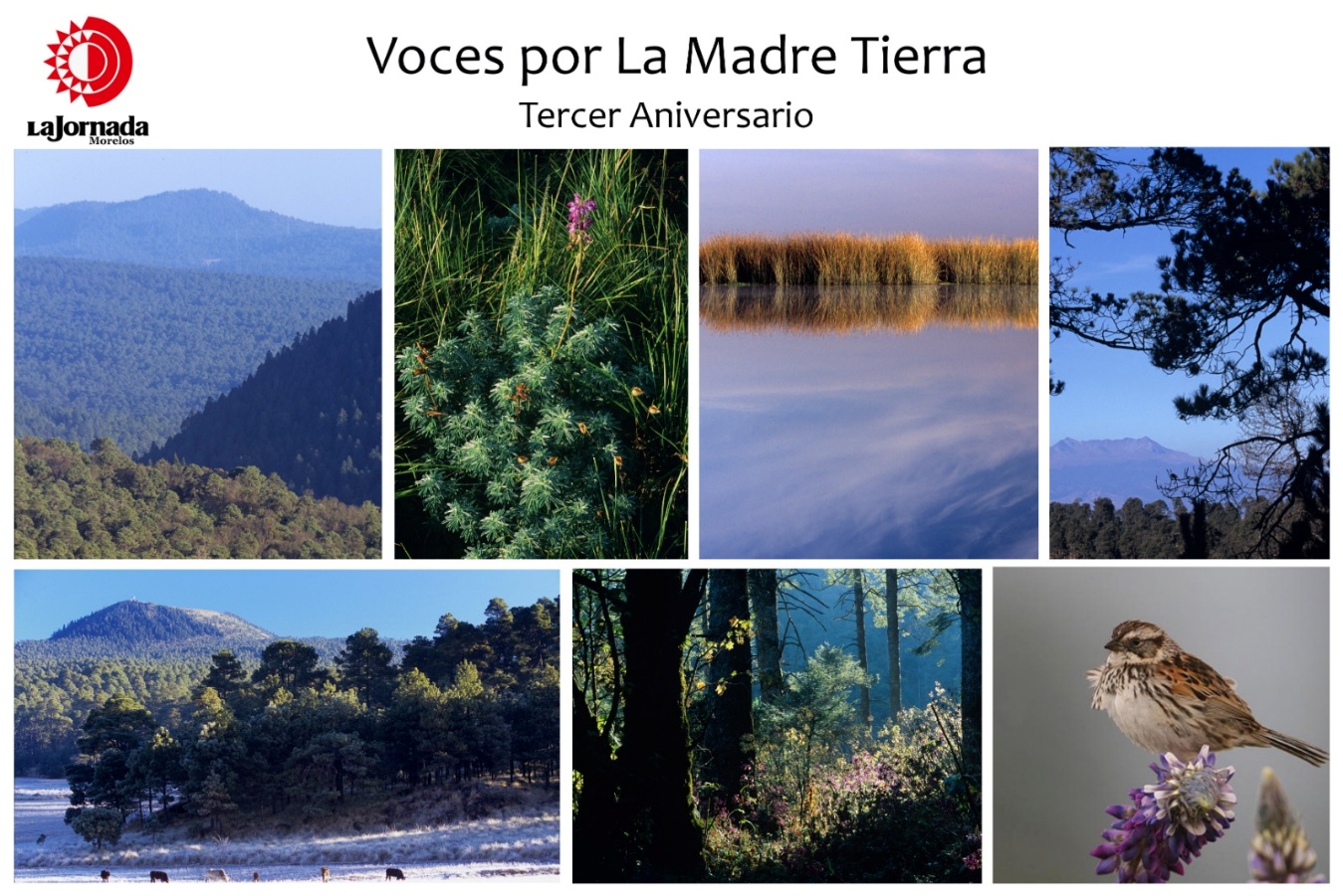 Interfaz de usuario gráfica, Aplicación El contenido generado por IA puede ser incorrecto.