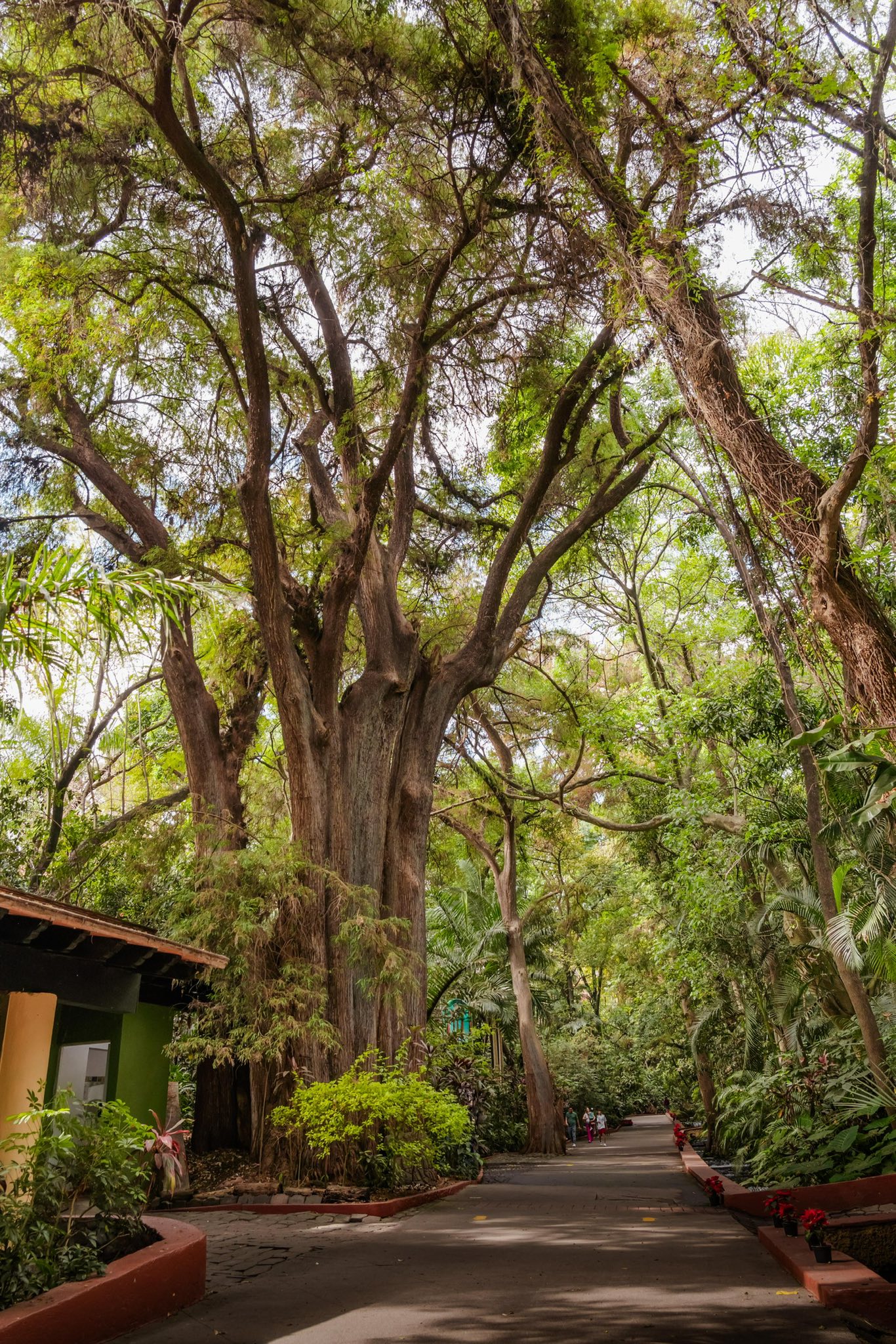 Casa entre los árboles El contenido generado por IA puede ser incorrecto.