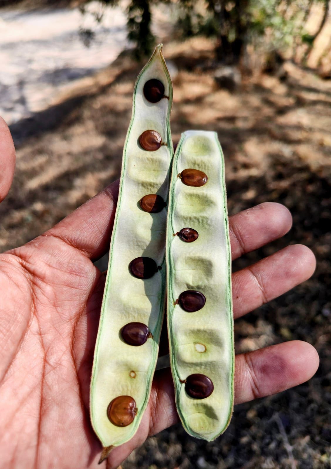Mano sosteniendo un cuchillo en la mano El contenido generado por IA puede ser incorrecto.