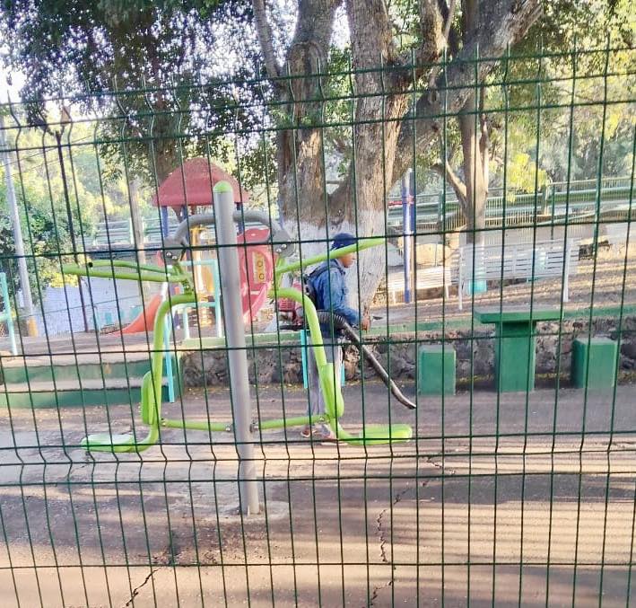 Un pájaro parado en una jaula El contenido generado por IA puede ser incorrecto.